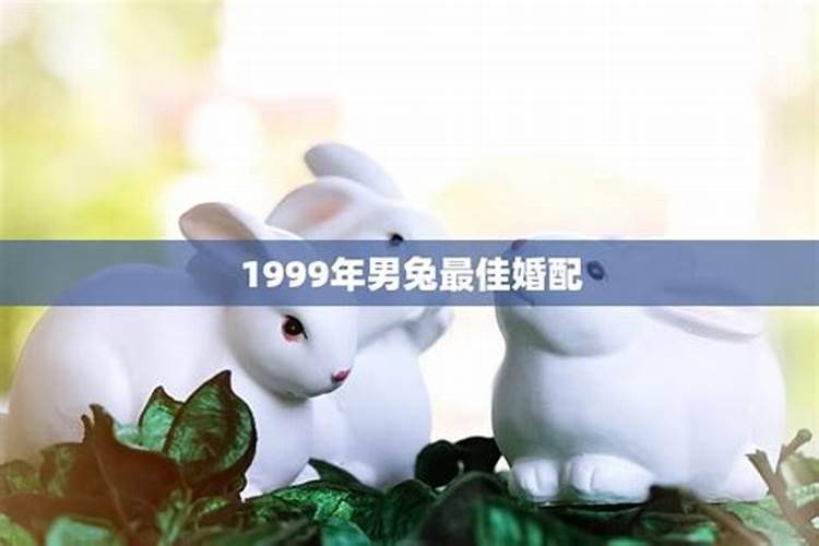 1999年兔男与2000年龙女婚配