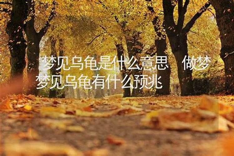 周公解梦梦到王八是什么意思