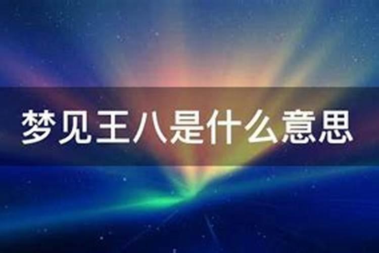 睡觉梦到王八是什么意思