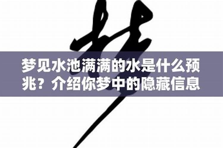 梦见水池里水满满的是什么意思呀