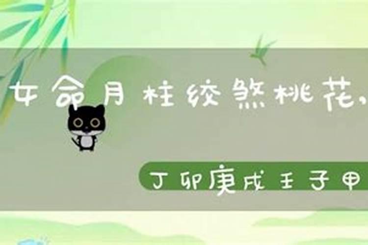 乙卯己卯丁卯丙午八字