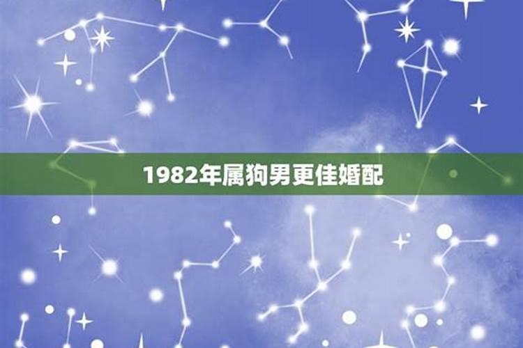 1982年属狗女的婚姻配对