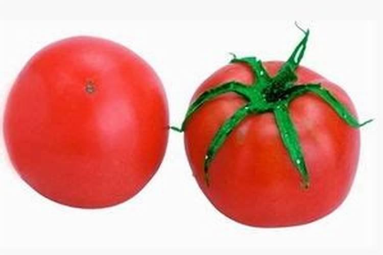 梦到西红柿代表什么