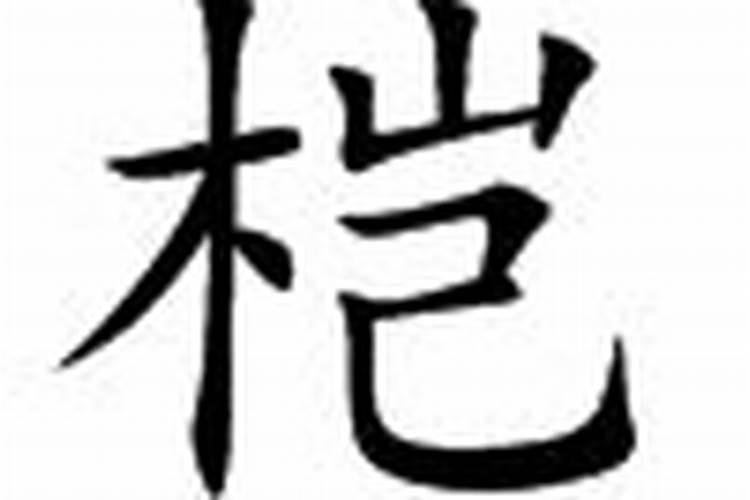 1997年属什么生肖