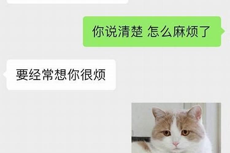 女友梦到分手什么情况