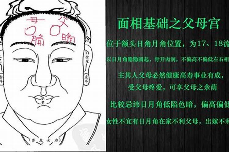 父母宫又叫什么