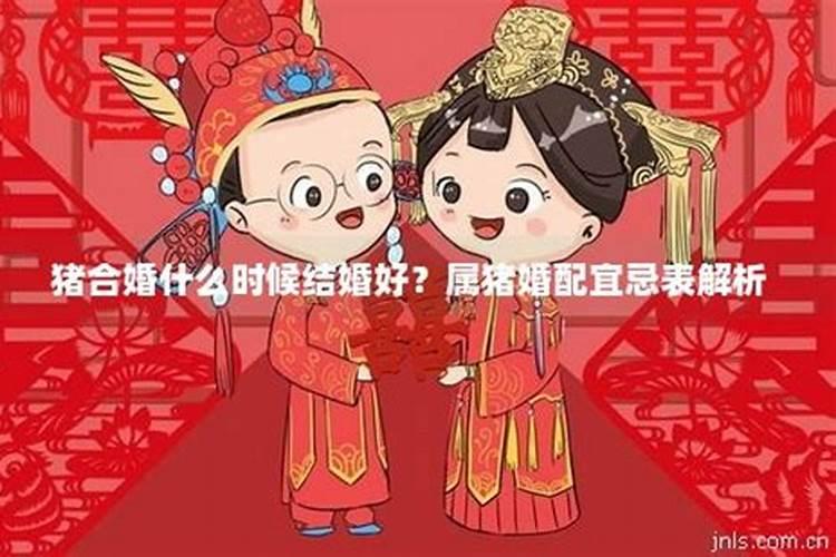 男女合不合婚怎么算