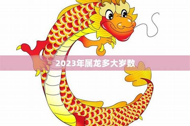 2021年属龙今年多大