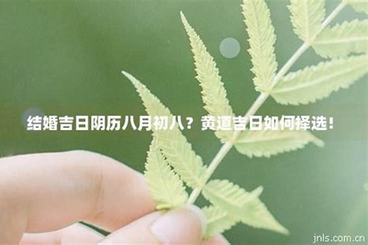 阴历八月初八结婚日好好