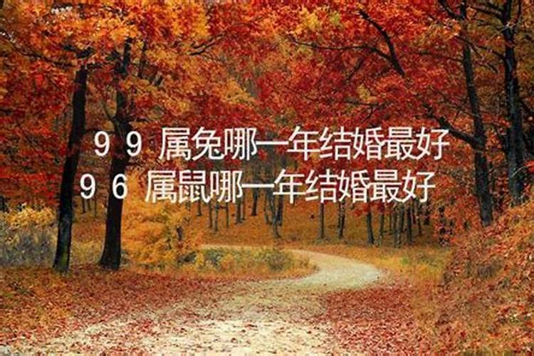 96年属鼠哪年结婚好