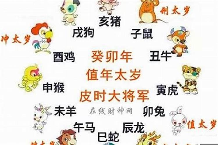 今天属什么生肖日子呢