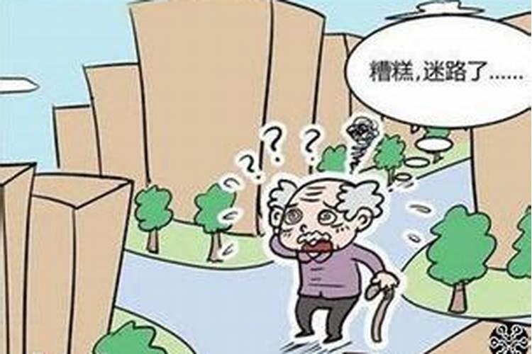 做梦梦到想回家迷路了