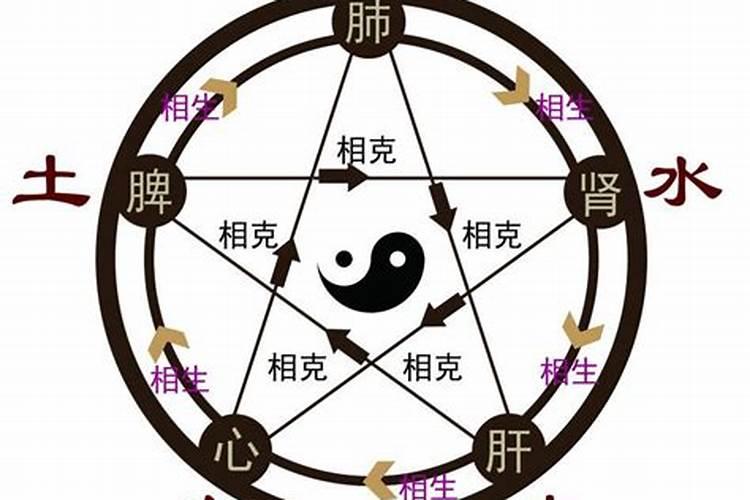 思属于五行属什么名字