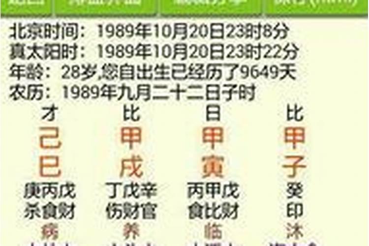 辛酉丁巳八字合婚