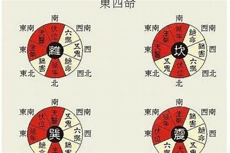 东四命和东四命合婚