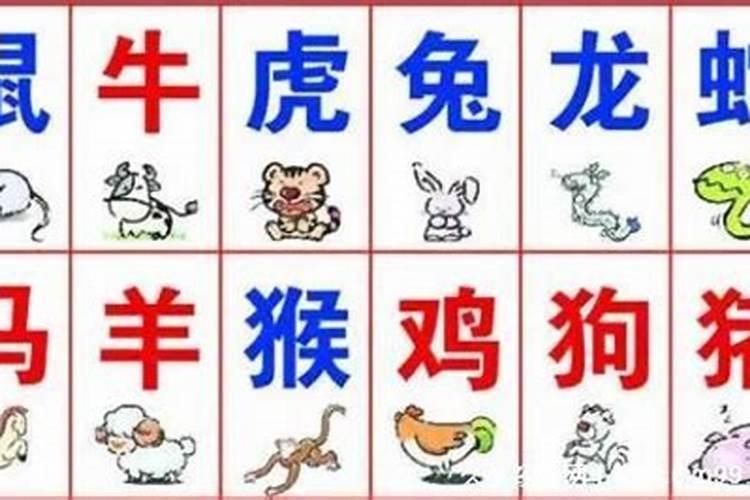 双字是好肖是什么生肖