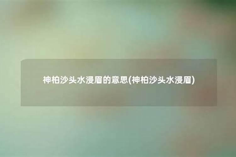 神柏沙头水浸眉打一动物生肖