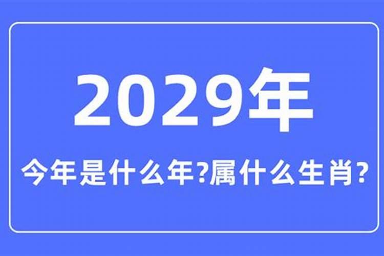 2029年的生肖表