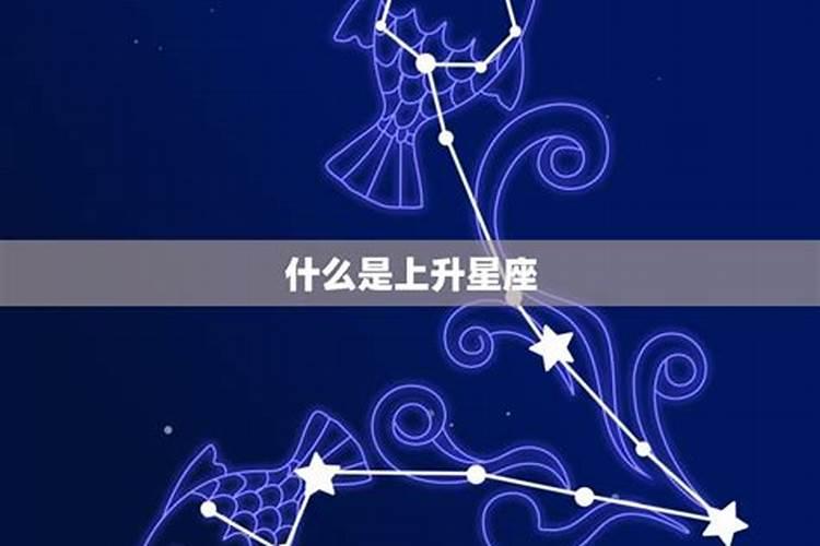 2.20什么星座上升