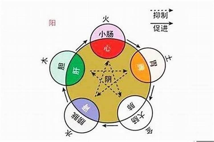 庭字五行属什么属性木和火