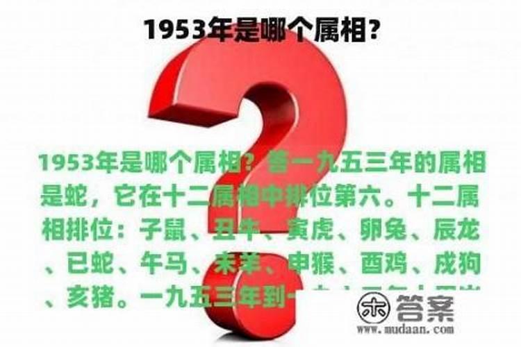 1953年的属相是什么命