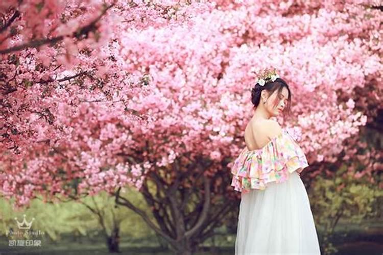 一个女人桃花运太旺