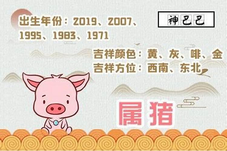 2007年出生的属猪是什么命