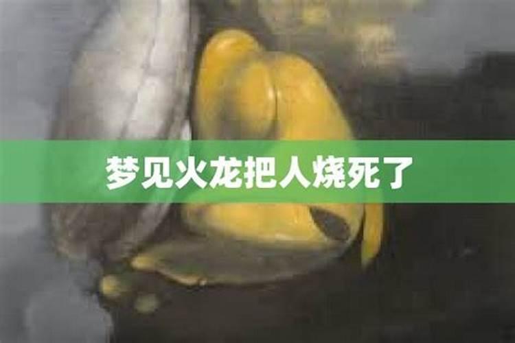 梦见把孩子放火里烧