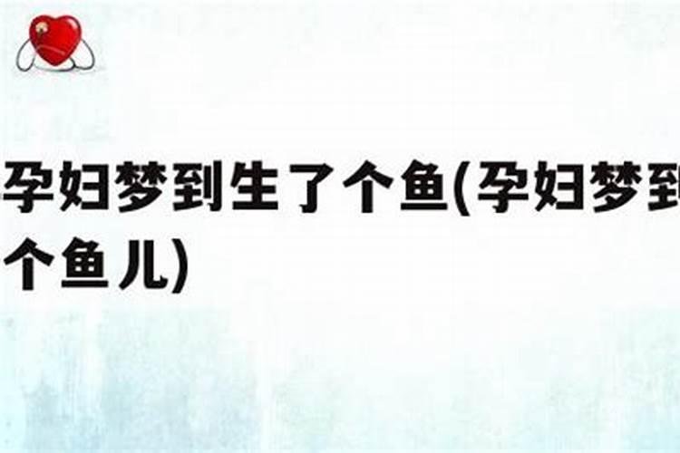 孕妇梦见鱼死了意味着什么周公解梦