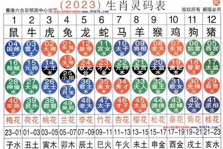 12生肖大全表