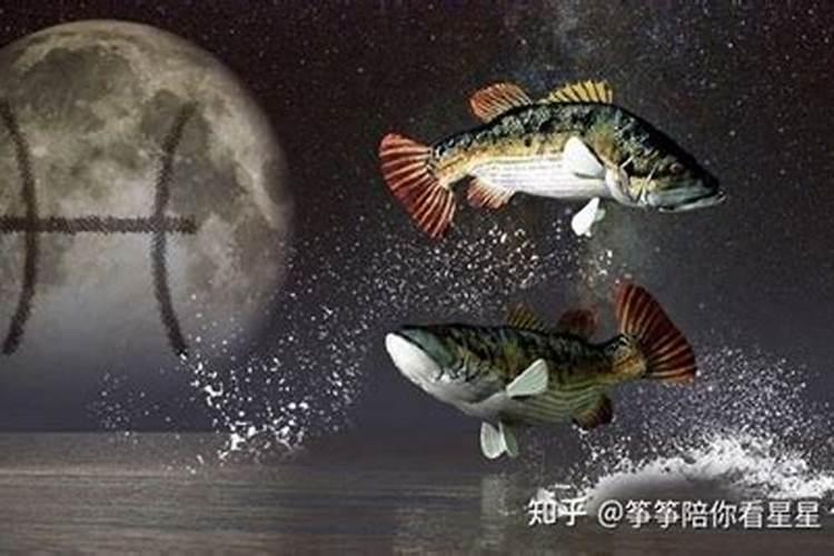 太阳双鱼座是几月几号