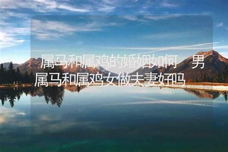 属龙终身佩戴什么