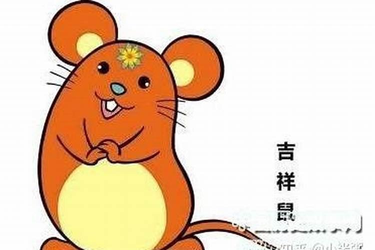 为什么生肖鼠排一辈子运气不好