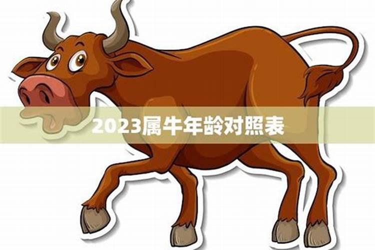 属牛年龄对照表2022