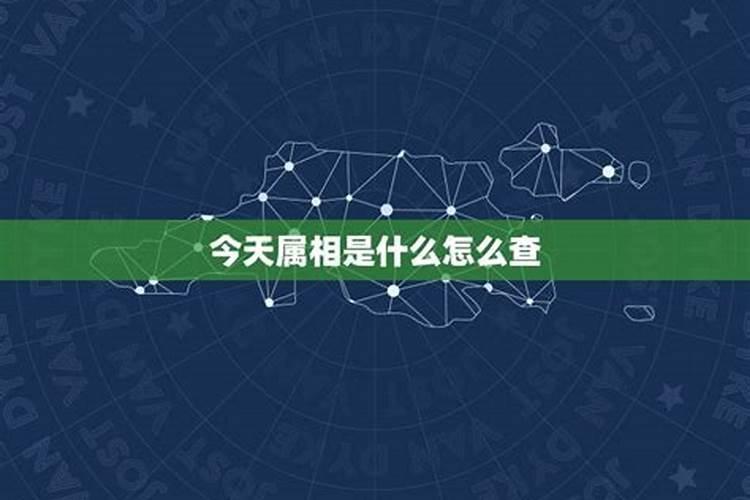 4月29号是什么星座的