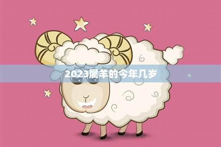 属羊多少岁了今年2022