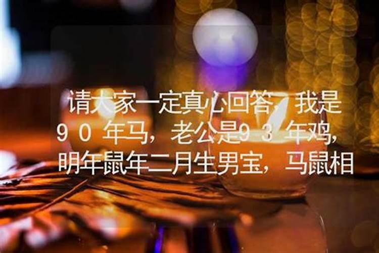 月白风清是什么生肖