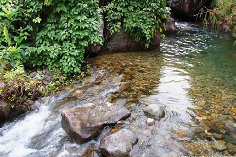 生意人梦见黄水流动