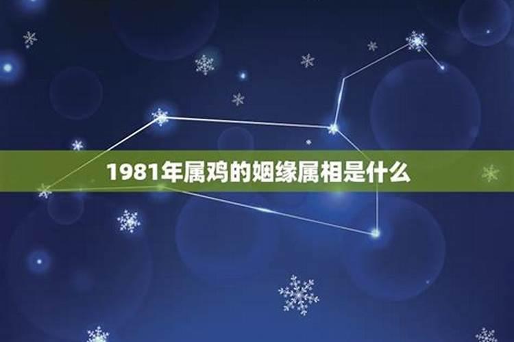 81年是属什么的