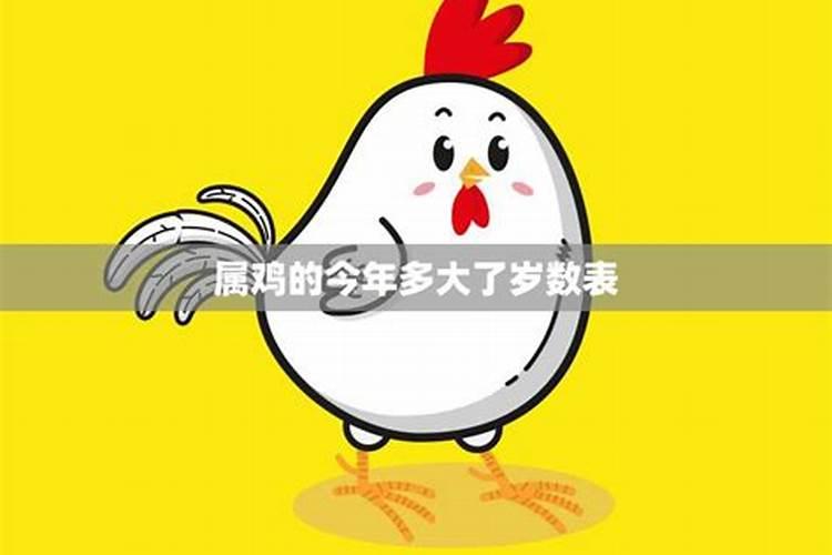 属鸡今年多大岁数属什么的