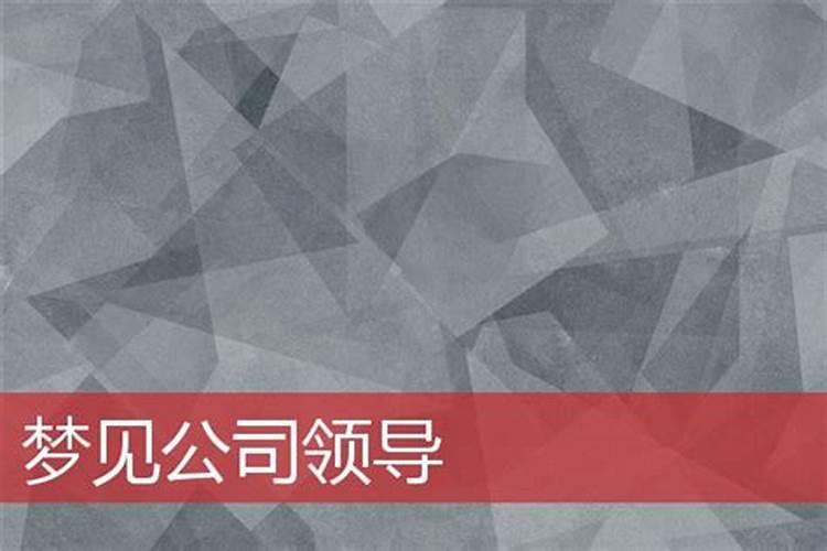 梦见公司领导什么意思