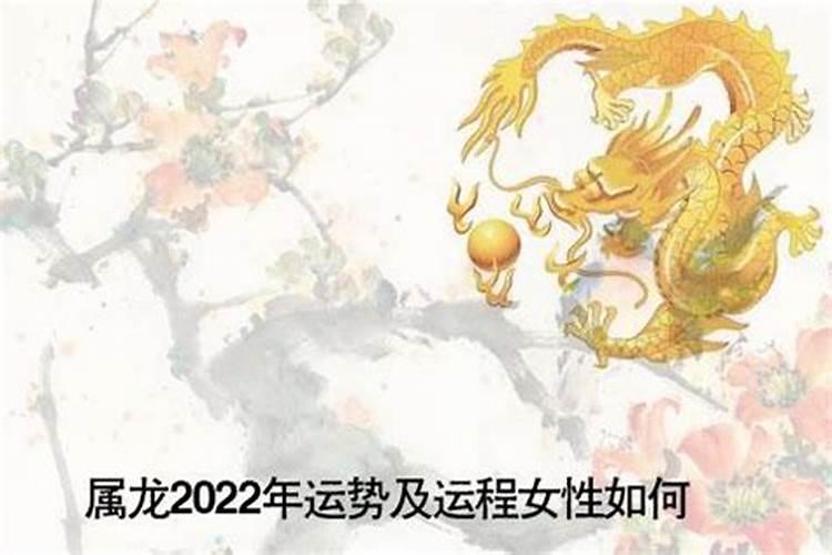 2023年属龙人的全年运势女性