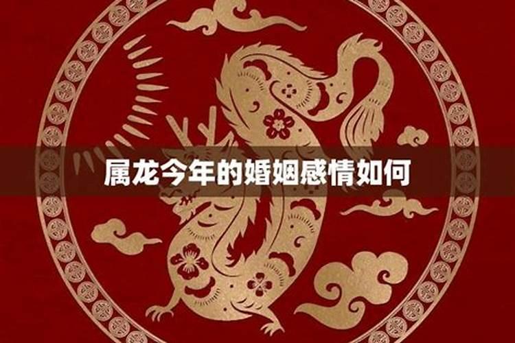 2023年属龙结婚好不好