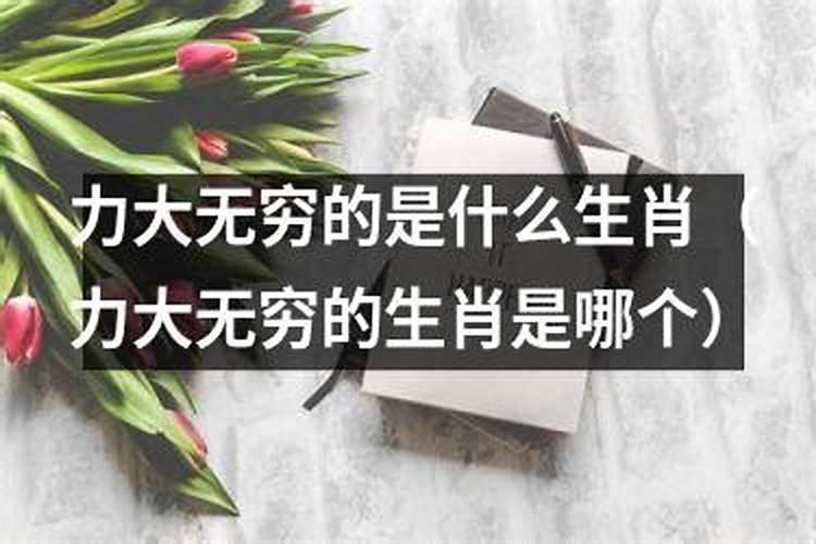 力大无穷代表什么生肖呢