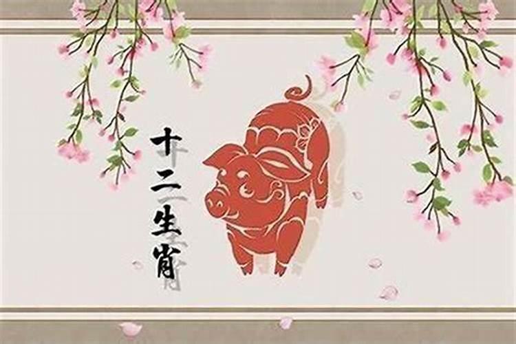 2019属猪几月好