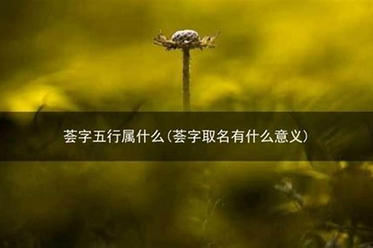 梦见买树苗是什么意思