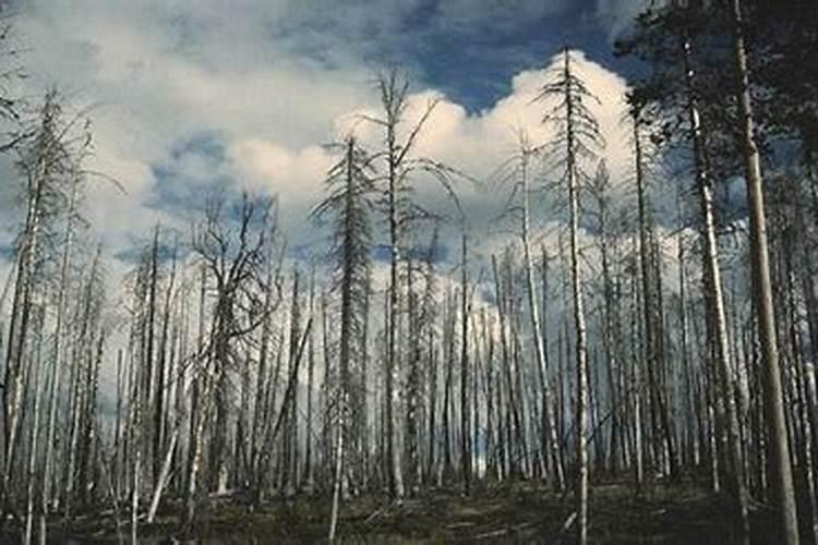 梦见刮大风在屋里跑来跑去