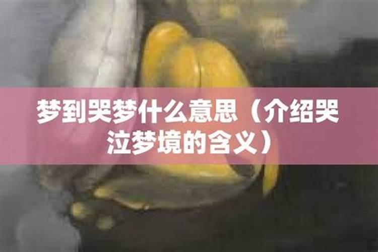 梦见别人哭是什么意思啊