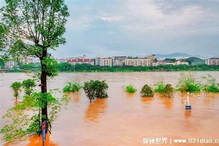 梦见涨大洪水预示什么