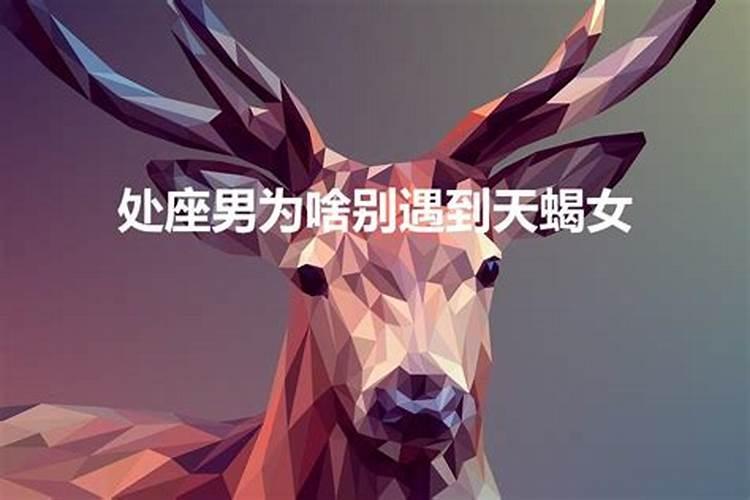 捷字五行属什么